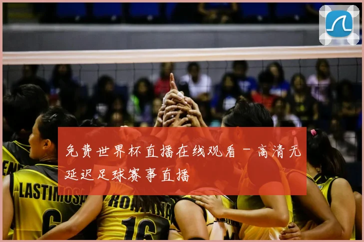 免费世界杯直播在线观看 - 高清无延迟足球赛事直播