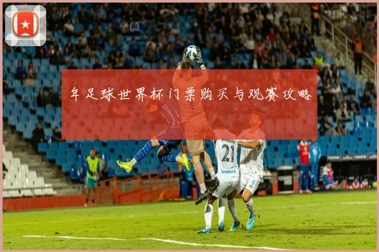 年足球世界杯门票购买与观赛攻略