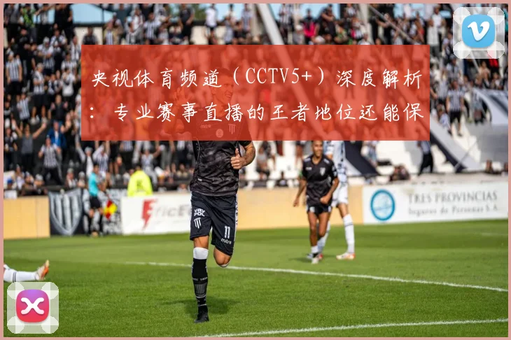 央视体育频道(CCTV5+)深度解析:专业赛事直播的王者地位还能保持多久?